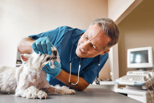 Best Emergency Dental Extractions in East Orange, NJ